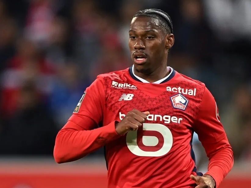 仅将其送上 仅将其送上